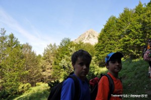 img_1278009884_915