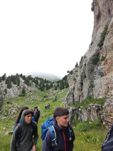 IMG-20240702-WA0197