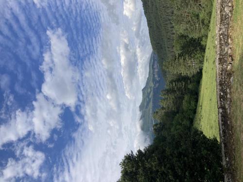 IMG 3423