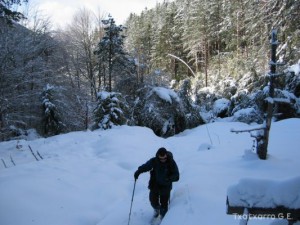 img_1206991256_512