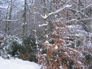 img_1206991256_920