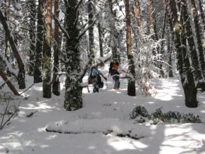 img_1206991257_248
