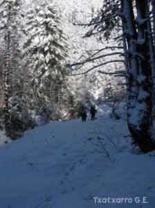 img_1206991257_761