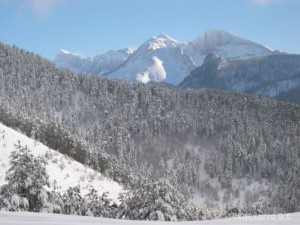 img_1206991258_460
