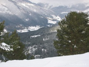img_1206991259_259