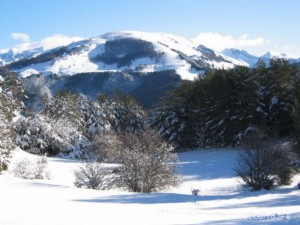 img_1206991260_250