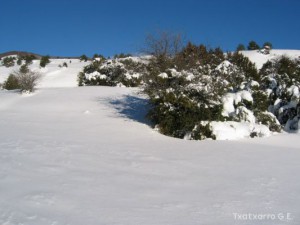 img_1206991260_341