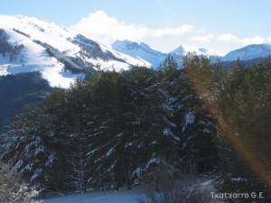 img_1206991260_47