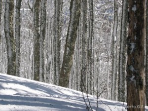img_1206991261_198