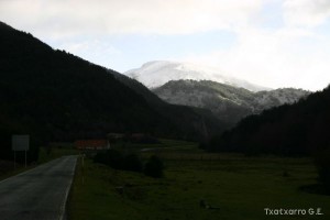 img_1206995159_837