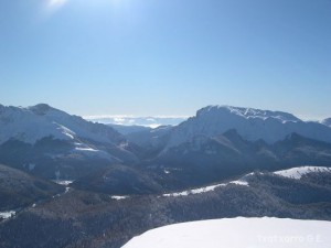 img_1206979389_842