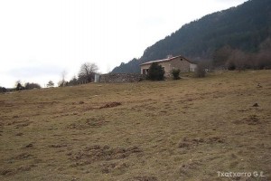 img_1232561589_418