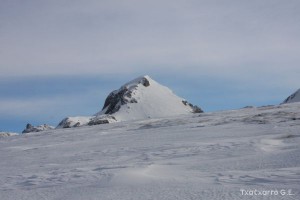 img_1262809012_758