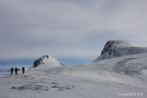 img_1262809013_444