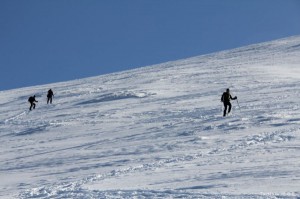 img_1326661527_423_lg