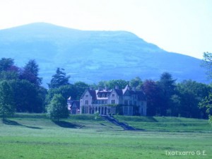 img_1206789570_830
