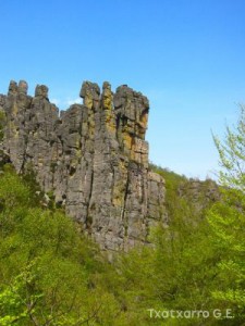 img_1206789573_910
