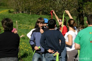img_1206788989_232
