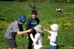 img_1206788991_774