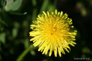 img_1206788993_113