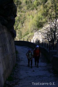 img_1206788995_51