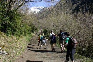 img_1206788995_714