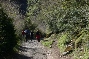img_1206788995_983