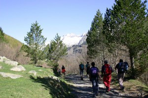 img_1206788996_765