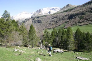 img_1206788997_641