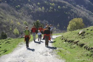 img_1206788997_793