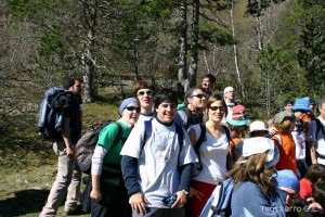 img_1206788998_990