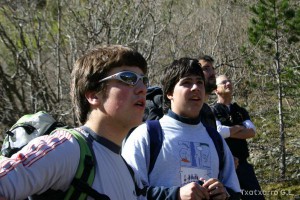 img_1206789000_712