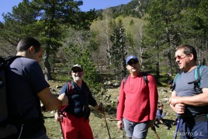 img_1206789001_437