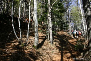 img_1206789002_255