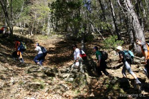 img_1206789003_728
