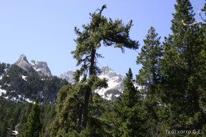 img_1206789005_341