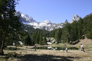 img_1206789005_439