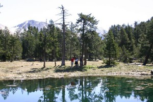 img_1206789005_801