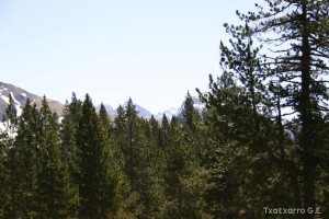 img_1206789006_682