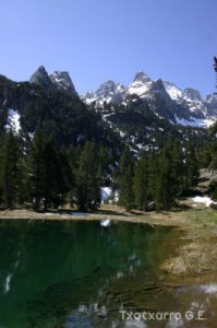 img_1206789006_726
