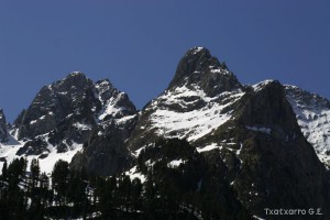 img_1206789007_642