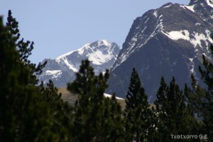 img_1206789008_751