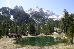 img_1206789009_134