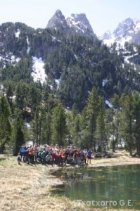 img_1206789010_476