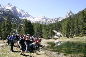img_1206789010_478
