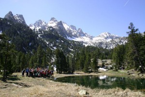 img_1206789010_598