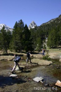 img_1206789011_791