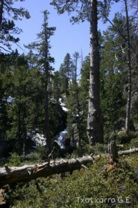 img_1206789011_817