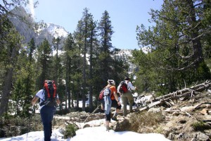 img_1206789012_211