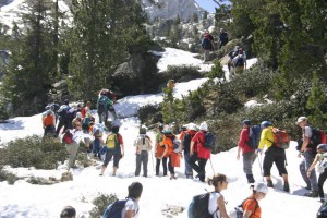 img_1206789013_733